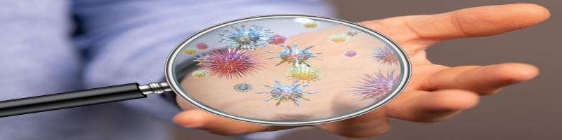 Coronavirus - Indicazioni utili e approfondimenti