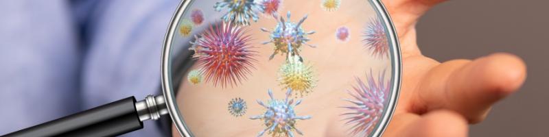 Coronavirus - Indicazioni utili e approfondimenti