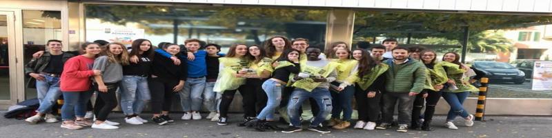 RISULTATI COLLETTA ALIMENTARE 2017