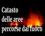 PUBBLICAZIONE DELL'ELENCO PROVVISORIO DEI TERRENI DA INSERIRE NEL CATASTO DEI BOSCHI PERCORSI DAL FUOCO E DEI PASCOLI SITUATI ENTRO 50 METRI DAI BOSCHI PERCORSI DAL FUOCO (art. 70ter L.R. 39/2000) AGGIORNATO AL 31/12/2022