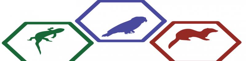 Animali Esotici