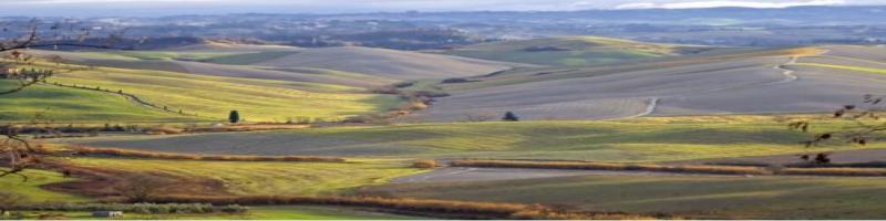 SOTTOSCRIZIONE DELL'ACCORDO DEL DISTRETTO RURALE DELLA VALDERA E DEL VALDARNO INFERIORE - Mercoledì 2 Marzo - Ore 16.00 - presso la sede dell'Unione Valdera